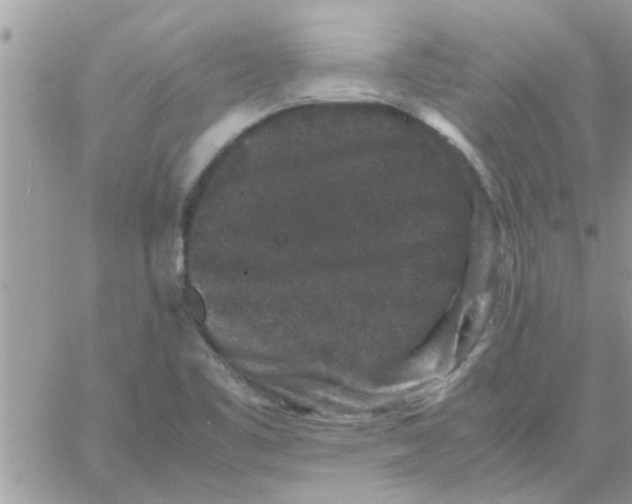 X0000061141461200512091921