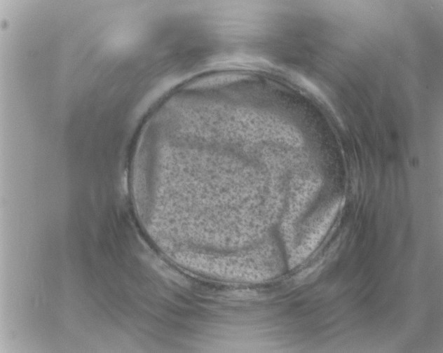 X0000061141462200512091921