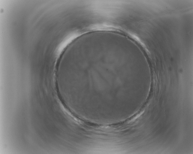 X0000061141463200512091921