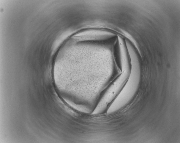 X0000061141464200512091921