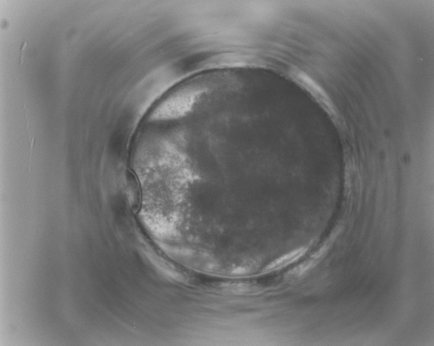 X0000061141465200512091921