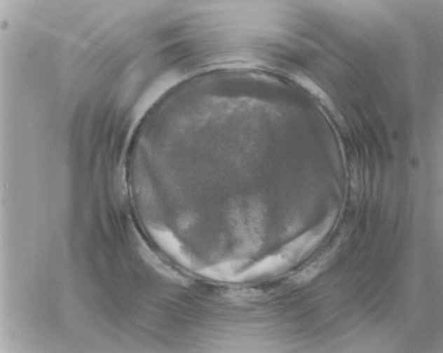 X0000061141466200512091921