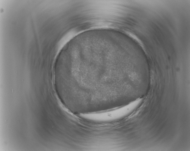 X0000061141467200512091921