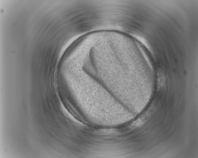 X0000061141468200512091921