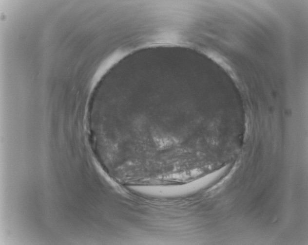 X0000061141469200512091921