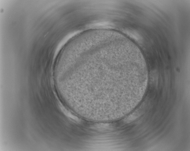 X0000061141470200512091921