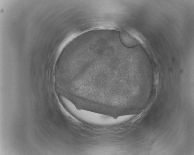 X0000061141471200512091921