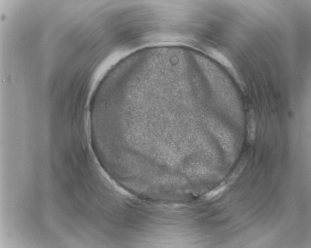 X0000061141472200512091921