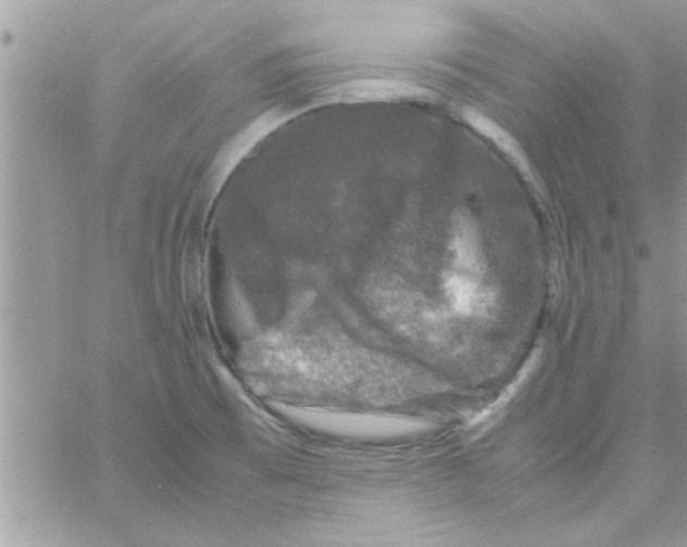 X0000061141473200512091921