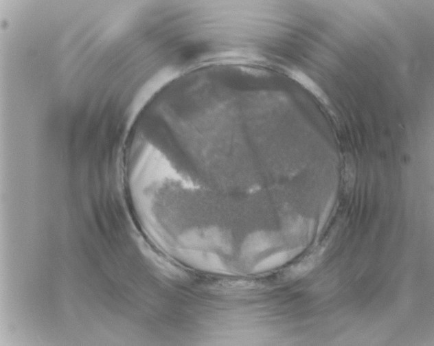 X0000061141474200512091921