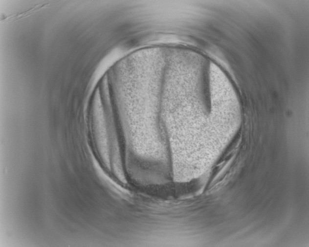 X0000061141475200512091921