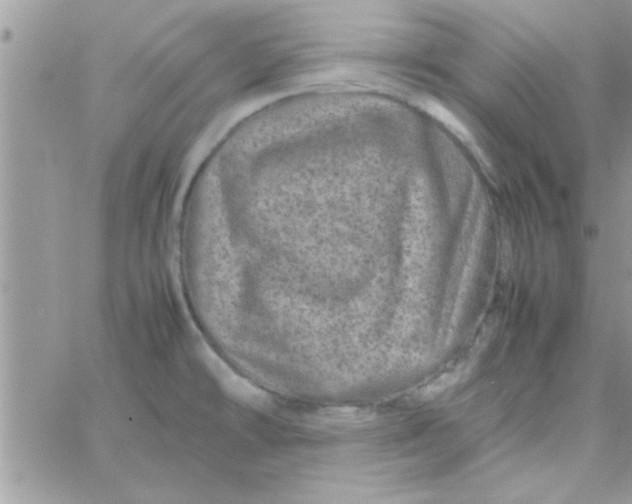 X0000061141478200512091921