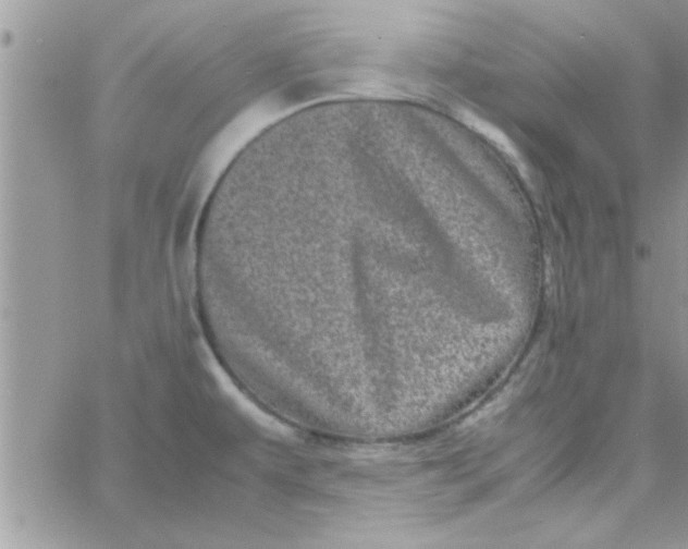 X0000061141479200512091921