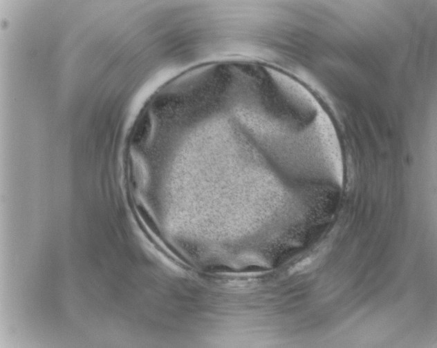 X0000061141480200512091921