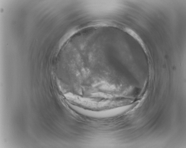 X0000061141481200512091921