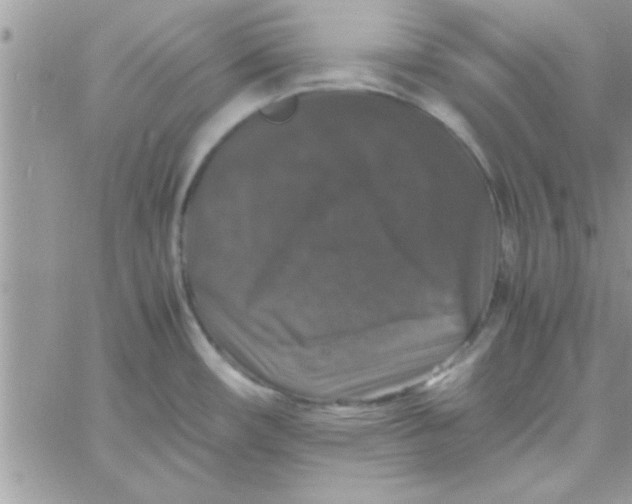 X0000061141482200512091921