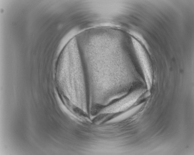 X0000061141483200512091921