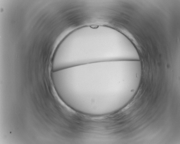 X0000061141484200512091921