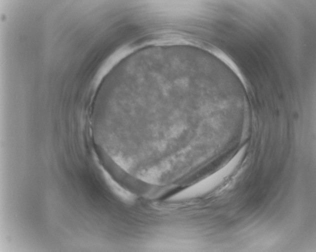 X0000061141485200512091921