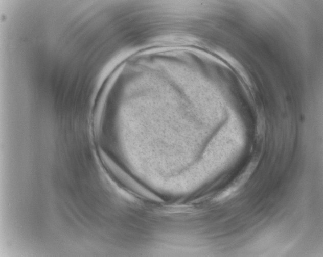 X0000061141486200512091921