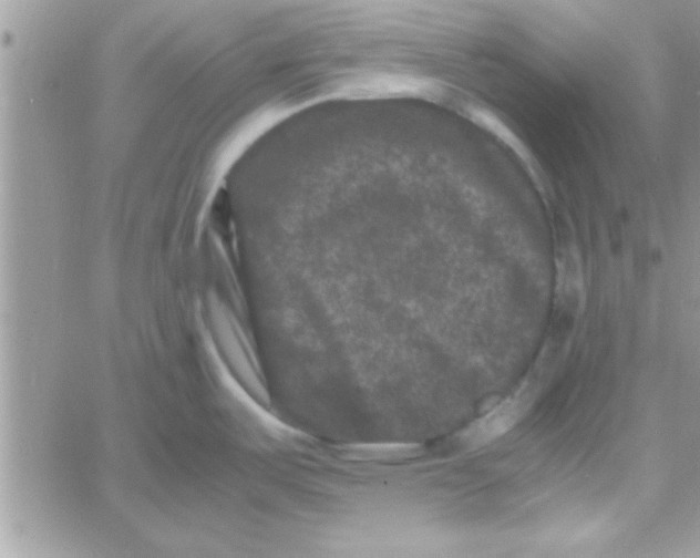 X0000061141487200512091921