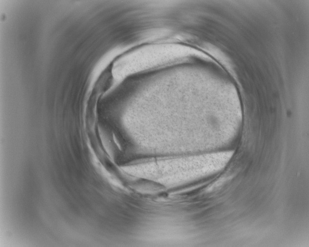 X0000061141488200512091921