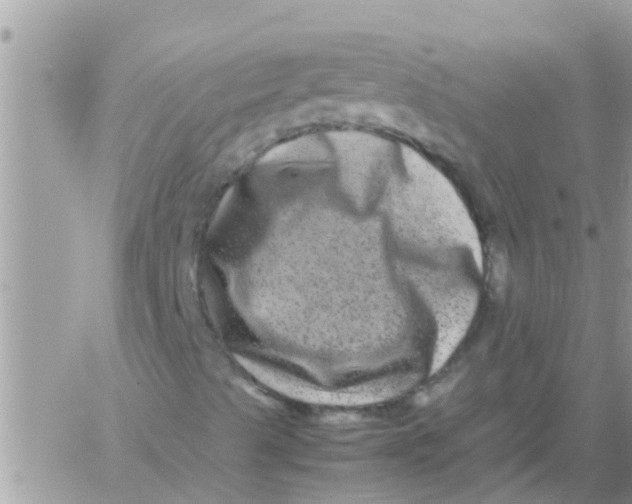 X0000061141489200512091920