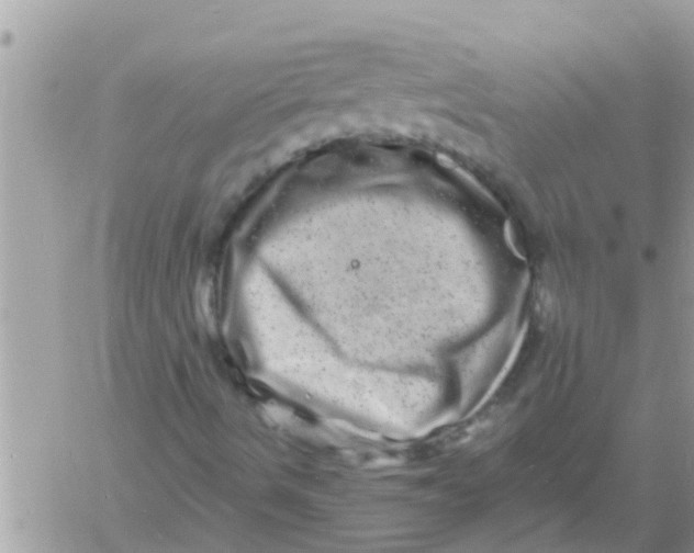 X0000061141490200512091920