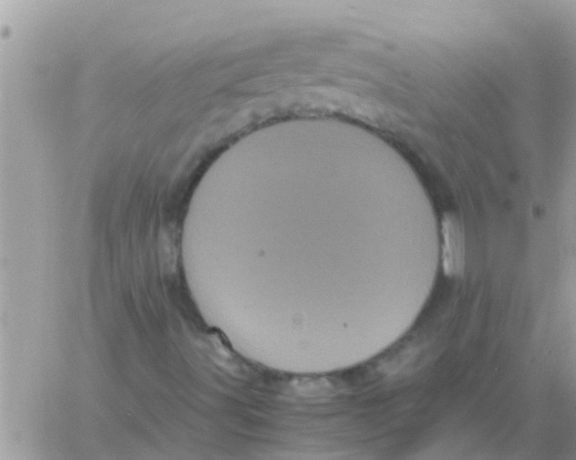 X0000061141491200512091920