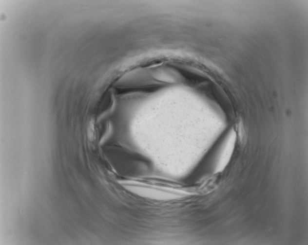 X0000061141492200512091920