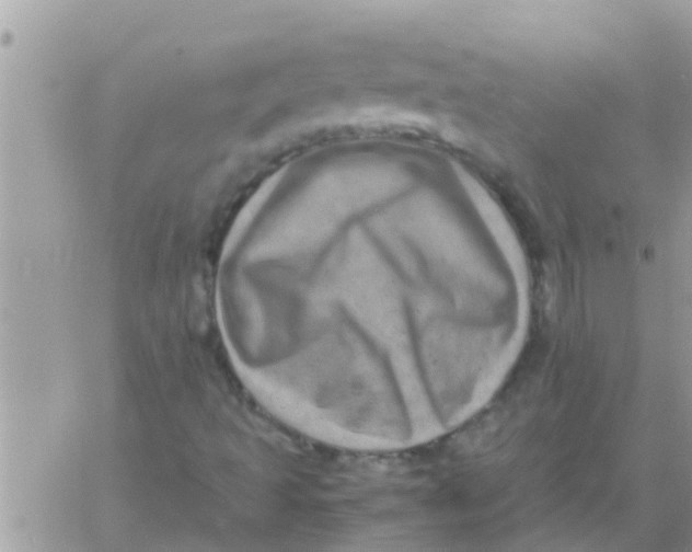 X0000061141493200512091920