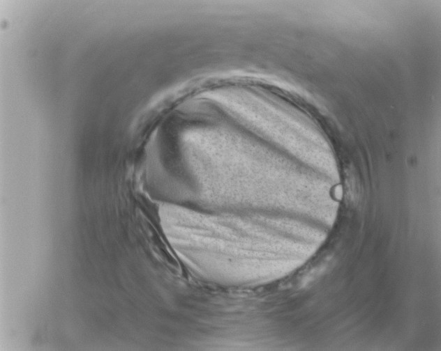 X0000061141494200512091920