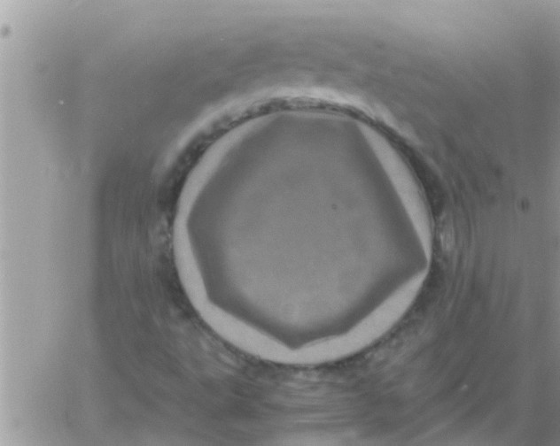 X0000061141495200512091920