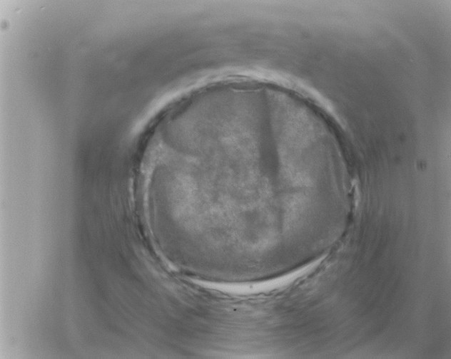 X0000061141496200512091920