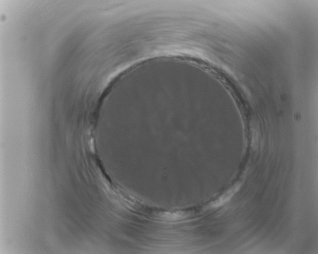 X0000061141497200512091920