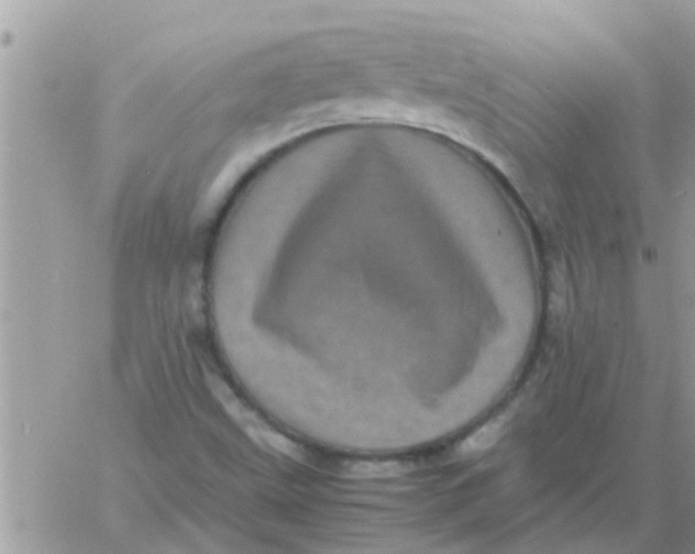 X0000061141499200512091920