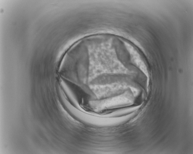 X0000061141500200512091920