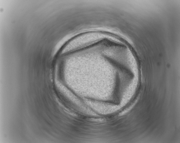 X0000061141501200512091920