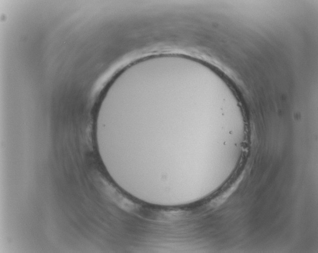 X0000061141502200512091920