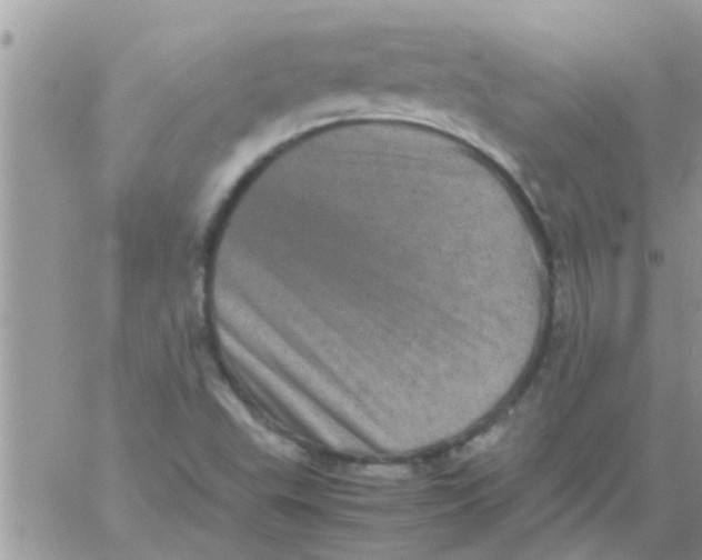 X0000061141503200512091920