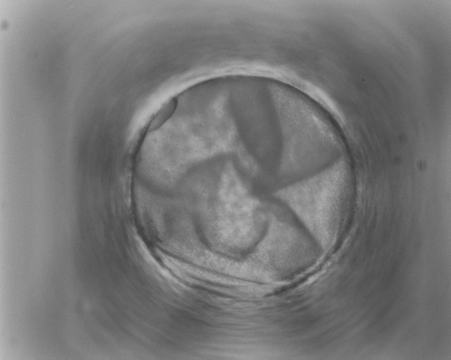 X0000061141504200512091920