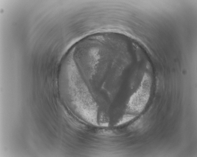 X0000061141505200512091920