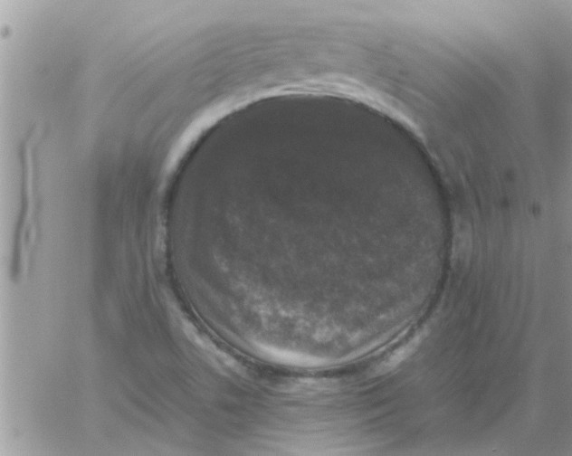 X0000061141506200512091920