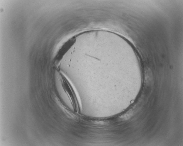 X0000061141507200512091920