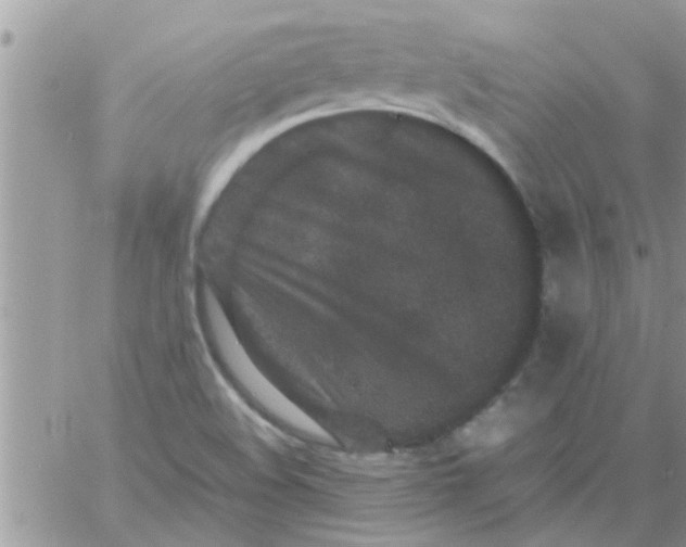 X0000061141508200512091921