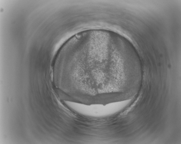 X0000061141509200512091921