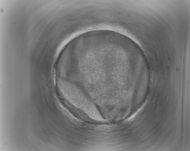 X0000061141510200512091921