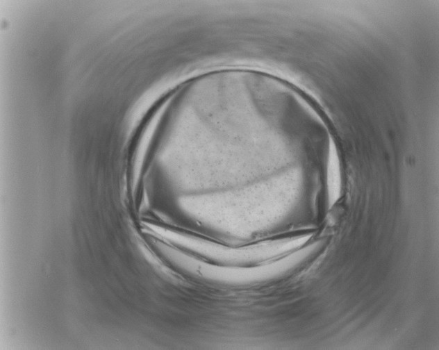 X0000061141511200512091921