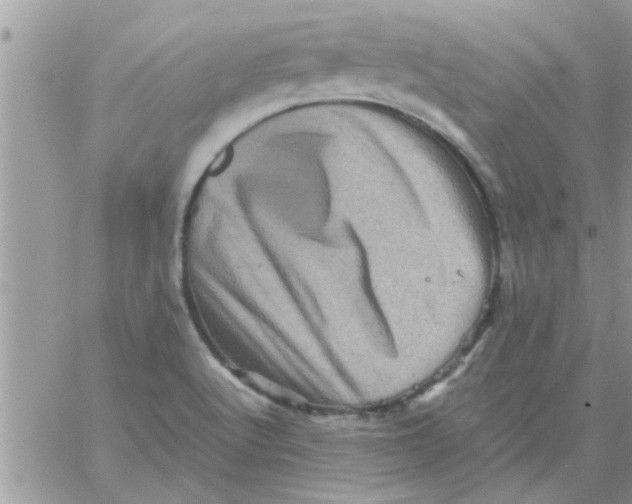 X0000061141512200512091921