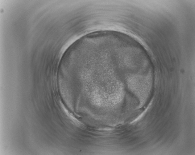 X0000061141513200512091921